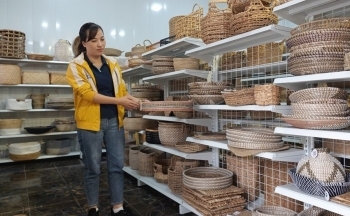 Thanh Hóa: Xuất khẩu nông lâm thủy sản có nhiều tín hiệu khởi sắc