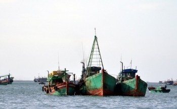 Kiên Giang không chấp thuận đóng mới tàu cá trong năm 2024