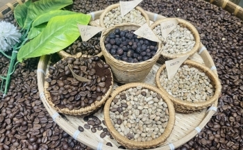 Nguồn cung cải thiện tạo sức ép lên giá hai mặt hàng cà phê