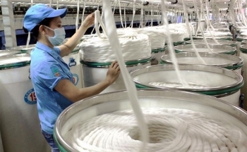 2 tháng đầu năm, xuất khẩu xơ sợi dệt thu về hơn 666 triệu USD