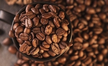 Giá cà phê mới nhất ngày 15/3/2024: Thị trường cà phê trong nước giảm 900 – 1.200 đồng/kg