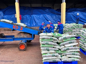 Vì sao doanh nghiệp phân bón kiến nghị giảm thuế xuất khẩu về 0%?