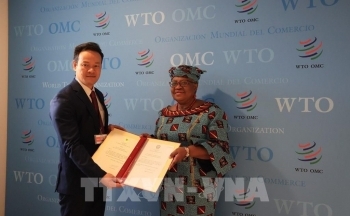 WTO ghi nhận đóng góp của Việt Nam cho hệ thống thương mại đa phương