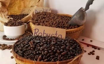 Ảnh hưởng từ dữ liệu tồn kho, giá Arabica có xu hướng giảm