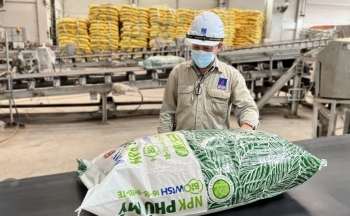 Petrovietnam tiếp đà tăng trưởng ấn tượng, ghi nhận nhiều điểm sáng