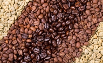 Giá cà phê mới nhất ngày 22/3/2024: Thị trường cà phê trong nước giảm nhẹ 200 – 300 đồng/kg