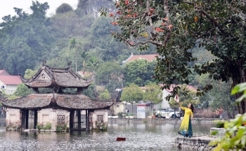 Chùa Thầy rực rỡ mùa hoa gạo