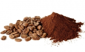 Giá cà phê vẫn còn động lượng tăng nếu đồng USD suy yếu?