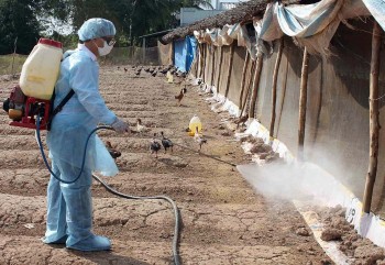 Bộ Y tế thông tin về trường hợp mắc Cúm A(H5N1) tại Khánh Hòa
