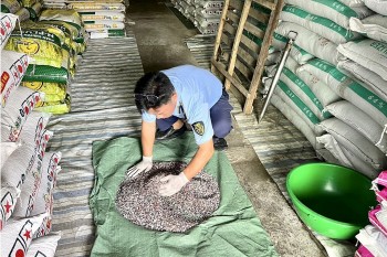 Quản lý thị trường tỉnh Kiên Giang thu nộp ngân sách gần 3 tỷ đồng trong quý I/2024