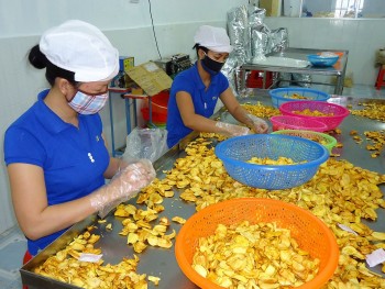 Đồng Nai: Sửa đổi nội dung chương trình khuyến công giai đoạn 2021-2025