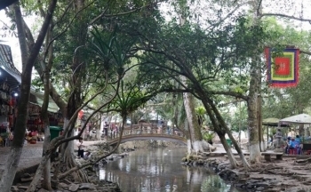 Kỳ bí câu chuyện đàn cá bơi ở suối nửa mét nước mà không ai dám bắt
