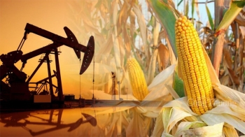 Thị trường hàng hóa hôm nay ngày 29/3: Dòng tiền đầu tư đến thị trường nông sản gia tăng đột biến