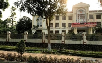 Lào Cai: Công ty TNHH MTV Trường Giang Một bị cưỡng chế thuế