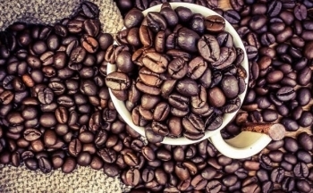 Giá cà phê mới nhất ngày 31/3/2024: Thị trường cà phê trong nước tăng nhẹ, cao nhất 98.700 đồng/kg