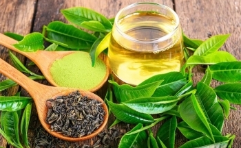 Uống trà xanh có lợi ích gì cho sức khỏe?