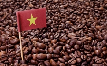 Cà phê Việt Nam liên tiếp đón tin vui, thiết lập giá cao vút