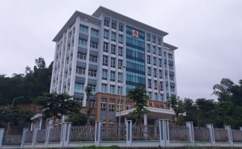 Cưỡng chế thuế Công ty CP giống nông nghiệp Điện Biên