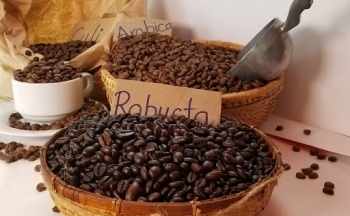 Giá cà phê Robusta thiết lập đỉnh mới 30 năm