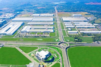 Tỷ phú Trần Bá Dương và giấc mơ đưa Quảng Nam trở thành trung tâm logistics miền Trung