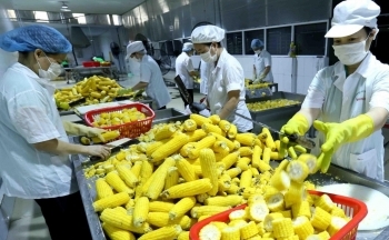 Singapore siết kiểm soát thực phẩm nhập khẩu để bảo vệ người tiêu dùng trong nước