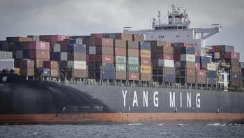Lý do khiến giá cước container xuyên Thái Bình Dương lại giảm