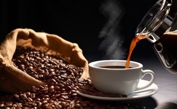 Giá cà phê arabica tăng cao nhất trong 6 tháng qua