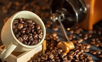 Giá cà phê mới nhất ngày 6/4/2024: Thị trường cà phê trong nước giảm nhẹ 100 - 300 đồng/kg