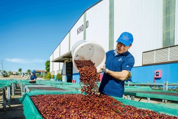 Giá cà phê tăng quá nhanh gây bất ổn tại thị trường nội địa