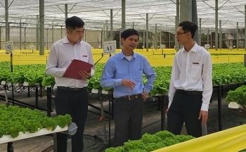 90 tổ chức tín dụng và gần 1.100 quỹ tín dụng nhân dân cho vay lĩnh vực nông nghiệp nông thôn