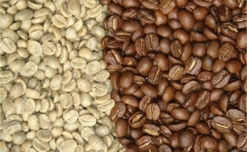 Giá cà phê mới nhất ngày 8/4/2024: Thị trường cà phê trong nước tăng kỷ lục, cao nhất 103.500 đồng/kg