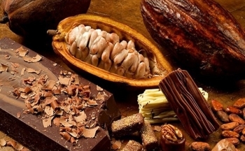 Giá ca cao tiếp tục lập đỉnh, giá đường về mức thấp nhất 1 tháng