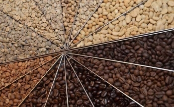 Giá cà phê mới nhất ngày 10/4/2024: Thị trường cà phê trong nước nối đà tăng, cán mốc 105.000 đồng/kg