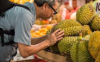Sầu riêng Việt Nam vượt qua Thái Lan vươn lên số 1 tại thị trường Trung Quốc
