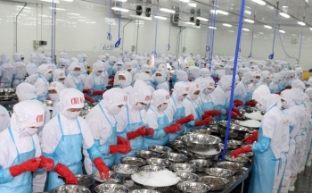 Ninh Thuận: Khơi thông nguồn lực, tạo thuận lợi cho doanh nghiệp thúc đẩy sản xuất, kinh doanh, thu hút đầu tư