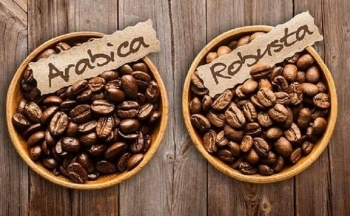 Thách thức từ nguồn cung, giá cà phê tăng đồng loạt