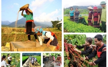 Triển khai cơ chế, chính sách đặc thù đẩy nhanh tiến độ chương trình mục tiêu quốc gia tại địa phương