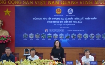 Tạo động lực, khơi tiềm năng, mở rộng không gian tăng trưởng xuất khẩu vùng Trung du và miền núi phía Bắc