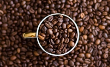 Giá cà phê đồng loạt tăng cao, Robusta lập kỷ lục