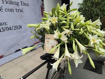 Những cánh thư mang tình yêu của một vị tướng qua cuốn sách “Thư cho em”