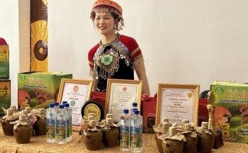 Cơ hội nào cho các sản phẩm vùng trung du và miền núi phía Bắc vươn xa hơn trên thế giới?