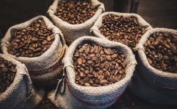 Lý do nào giá cà phê liên tục phá vỡ các kỷ lục?