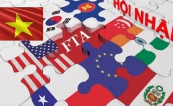 Tận dụng tốt cơ hội mở ra từ các FTA, tạo thêm động lực tăng trưởng cho nền kinh tế
