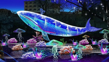 Công Viên Ánh Sáng Đồi Rồng - điểm nhấn độc đáo lần đầu xuất hiện tại Hải Phòng