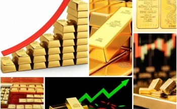 “Cầm cương” giá vàng – Bài 1: Hoa mắt, chóng mặt vì giá vàng 