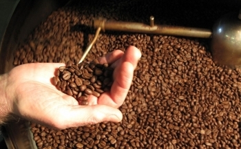 Giá cà phê biến động tăng 