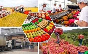 Vì sao giá nhiều loại nông sản xuất khẩu tăng kỷ lục?