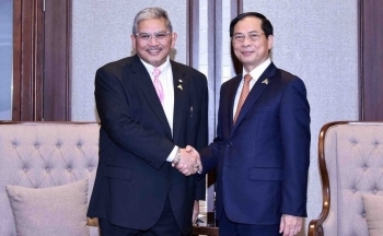 Thúc đẩy thực hiện các thỏa thuận để mở rộng không gian hợp tác Việt Nam - Brunei