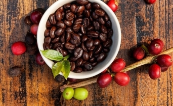 Cà phê Robusta tiếp tục tăng “nóng” trên 4.000 USD/tấn