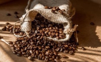 Giá Robusta tiếp tục duy trì ở vùng đỉnh 30 năm